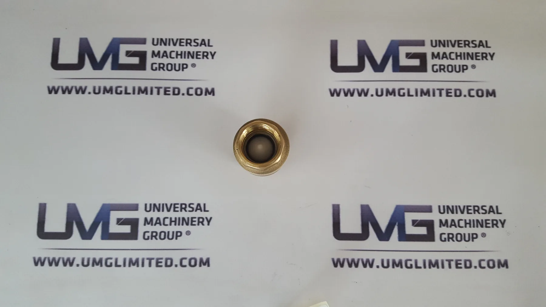Check Valve